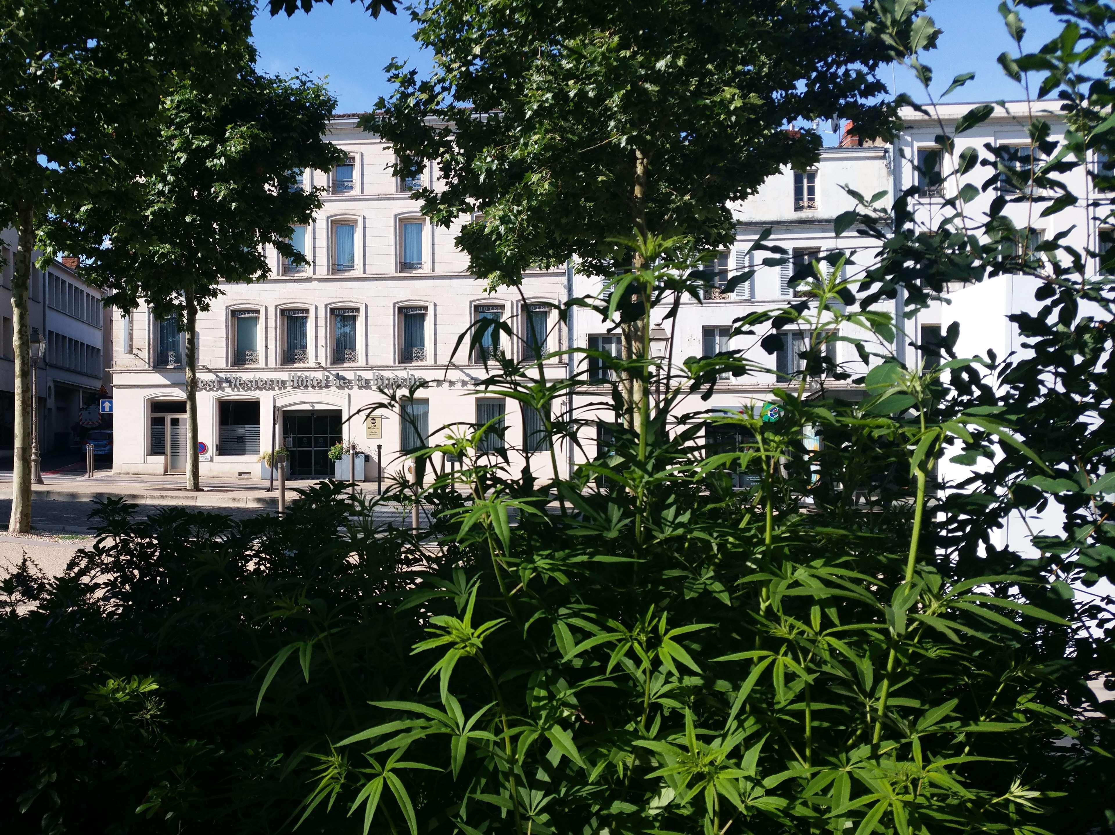 Best Western Hotel De La Breche Niort Dış mekan fotoğraf